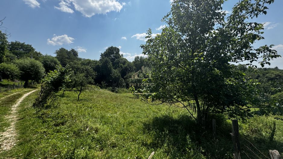 TEREN INTRAVILAN 2146 MP, ALBESTII DE MUSCEL, ARGES - Poză 6