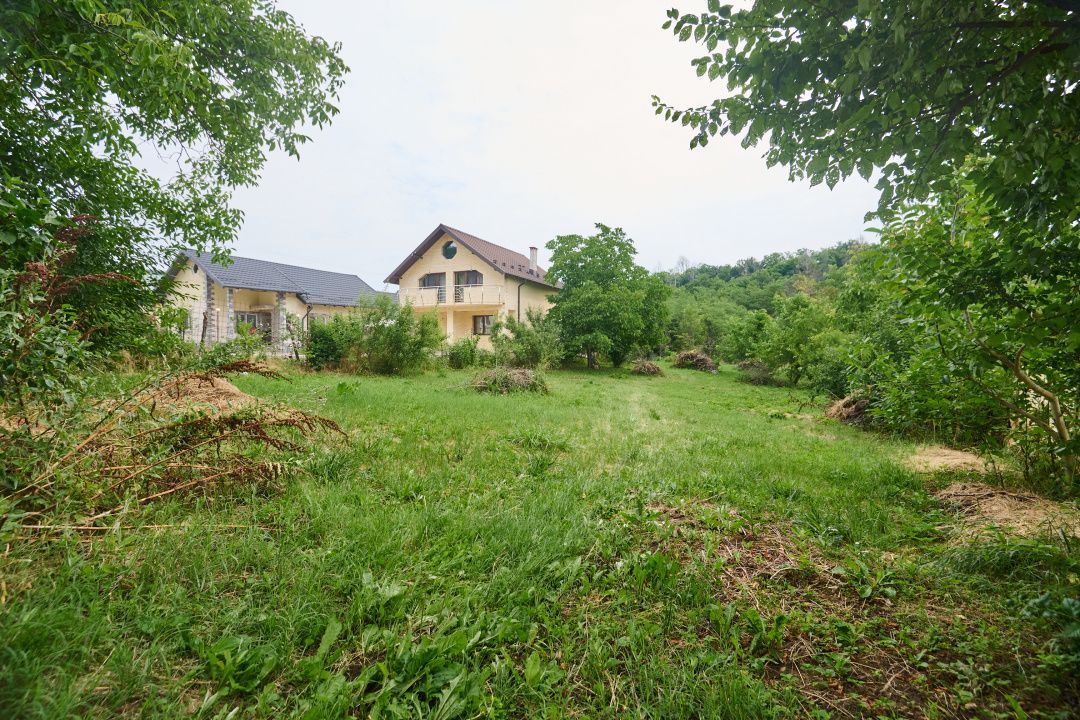 Teren 2240 mp intravilan + casa batraneasca Hintesti-Basangesti - Poză 4