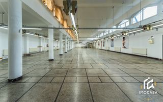 De vânzare Hală 1450mp producti industrial 15000mp teren Călan Jud. Hd - Poză 6