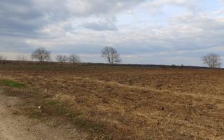 Teren de vânzare | Moara Vlăsiei | Utilități în zonă - Poză 2