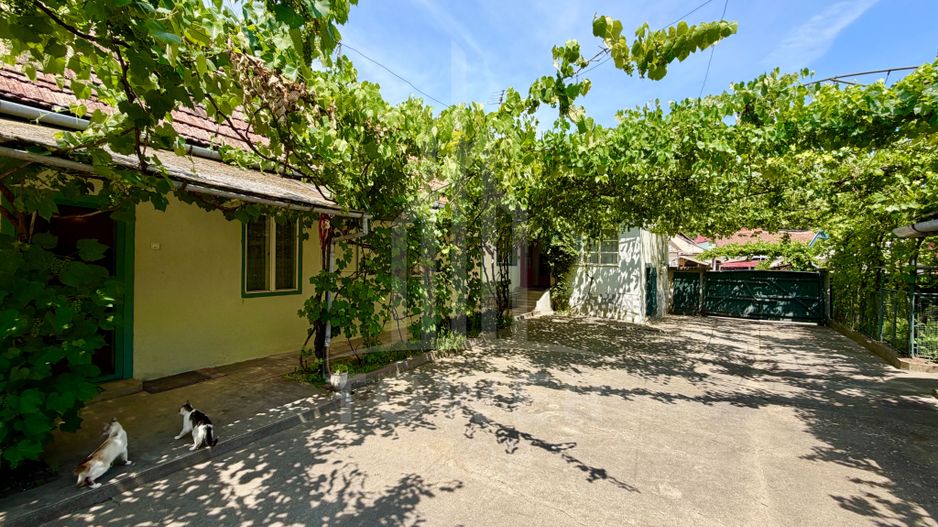 Casă de vânzare-teren 2.300 mp| Ocna Sibiului - Poză 4