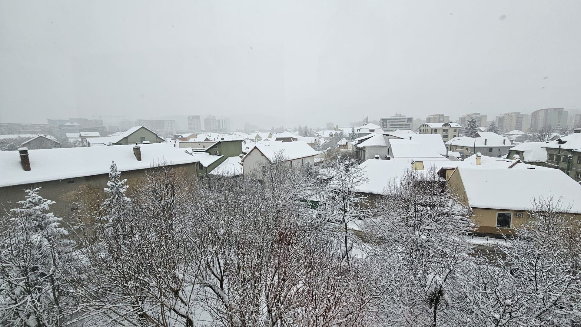 La 5 minute de Centru Civic, apartament pet friendly - Poză 15