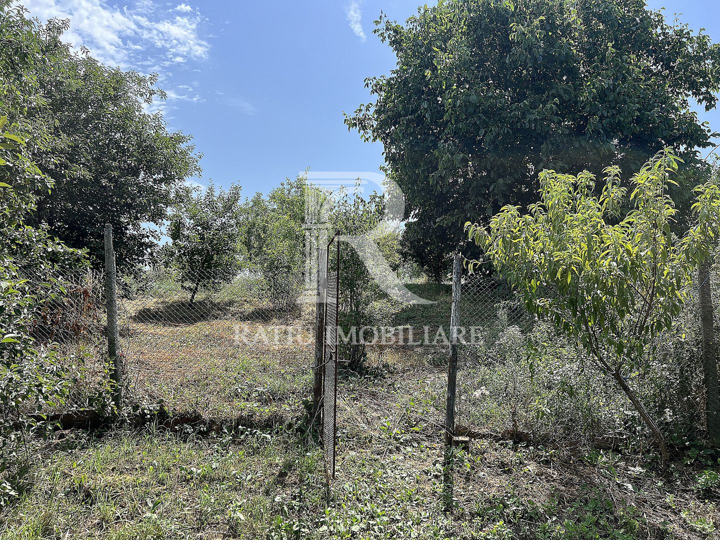 Casa de vacanta | Târgușor | Bihor - Poză 21