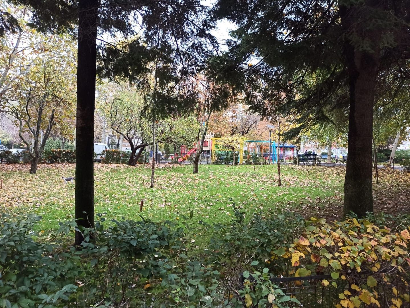 3cam.dec-1baie-disponibil imediat/Bvd Brancoveanu 130-132,sector 4 - Poză 29