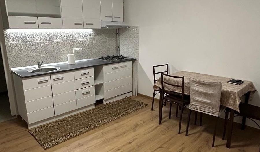 GARSONIERA - RAHOVA, PET-FRIENDLY, MOBILAT/UTILAT MODERN, CURTE - Poză 4