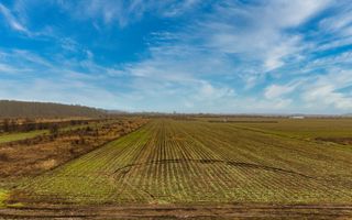Teren intravilan 5040 mp, deschidere dubla - Poză 2
