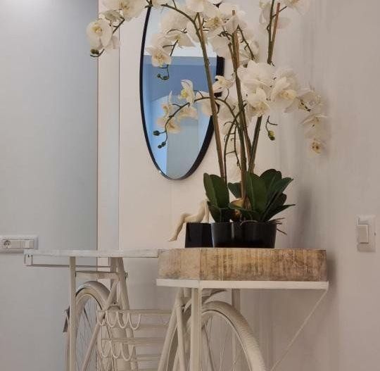 Cortina North, Particular - Poză 3