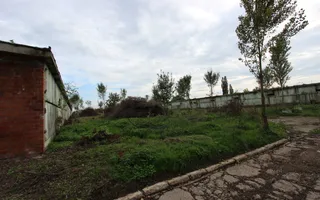 Vanzare hale Mosnita Noua-fosta Ferma 7 - Poză 35