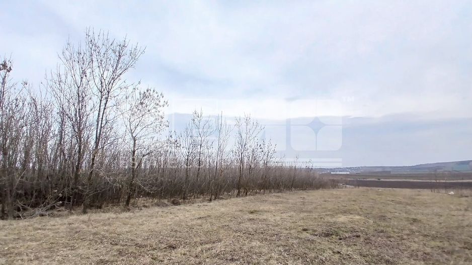 Teren DN2 | Preț: 3.100 €/arul I Suceava - Poză 4