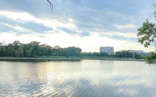 4 camere PREMIUM ||  VEDERE spre LAC SI PARC- One Peninsula - Poză 5