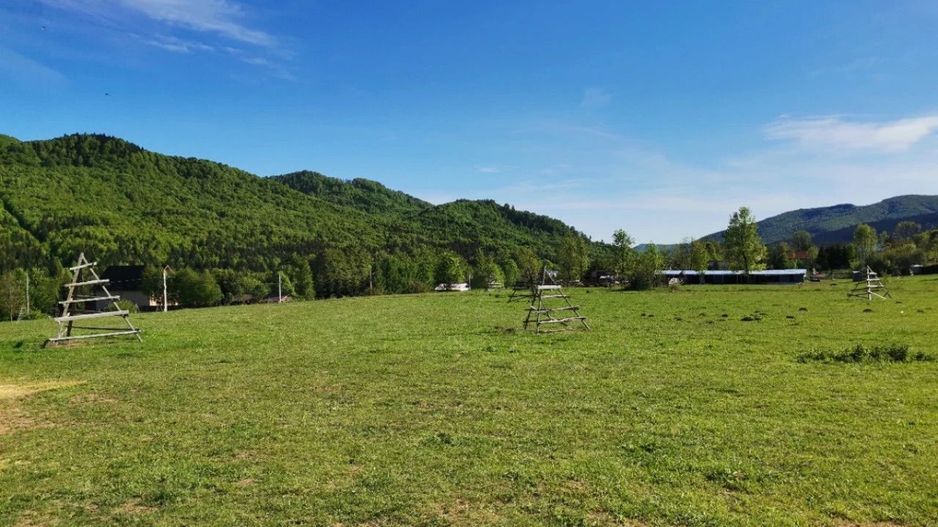 TEREN | 4.000 mp (2 loturi) | Valea Doftanei | ATRA DOFTANA - Poză 3