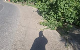 Casă de vânzare, sat Gropnița, teren 900 mp, 25 km de Iași - Poză 2