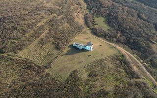 Castel cu vedere panoramică pe dealul Șiriei - Poză 17