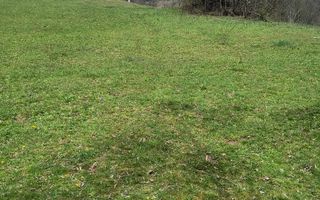 Un colt de rai in Apuseni I viața ca pe vremuri - Poză 6