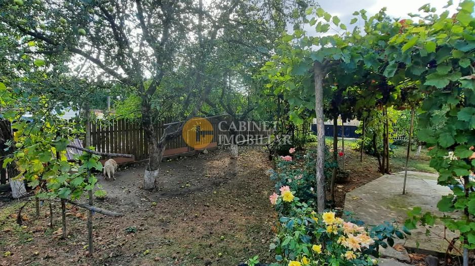 🏡 CASĂ BĂTRÂNEASCĂ LOCUIBILĂ DE VÂNZARE – TRIFEȘTI, IAȘI 🏡 - Poză 6