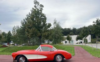 Dumbrava Vlasiei – Armonie între design, lumină și natură - Poză 11