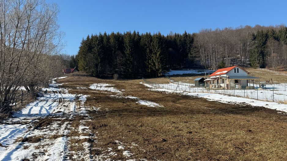 Teren intravilan 4521mp lângă pădure-valea Doftanei -Calea Brasovului - Poză 8