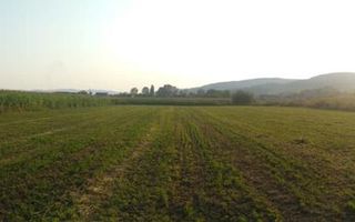 Teren 5500 mp-oportunitate investitie-pretabil cabana-Jelna - Poză 2