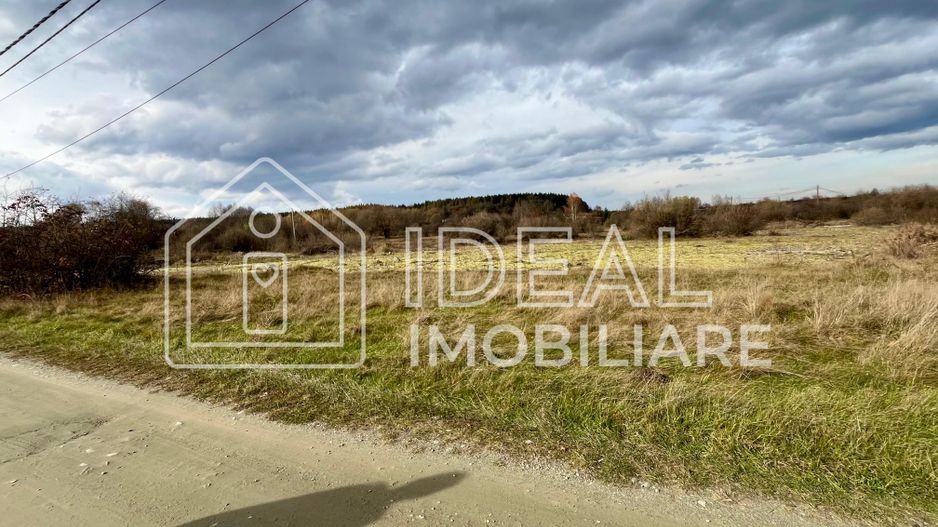 Teren extravilan 868 mp, Cârțișoara - Poză 1