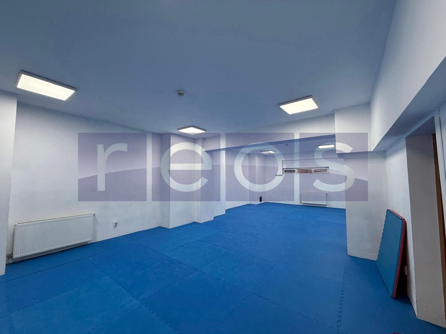 INCHIRIERE SPATIU DEMISOL | BARBU VACARESCU  | 196MP | - Poză 6