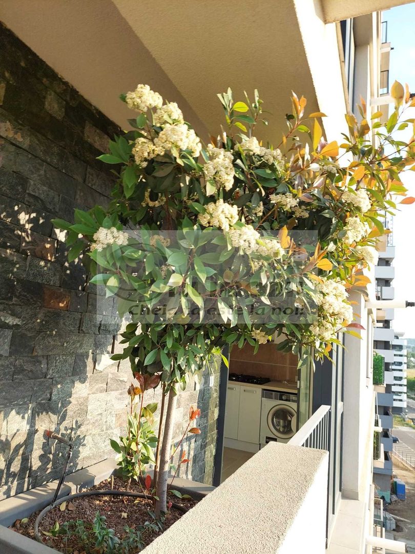 Apartament 2 camere Tatarasi - 499 EURO - Poză 8