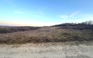 Teren Intravilan Parcelare, Lac Paleu, 8592mp, Deschidere 32ml - Poză 1