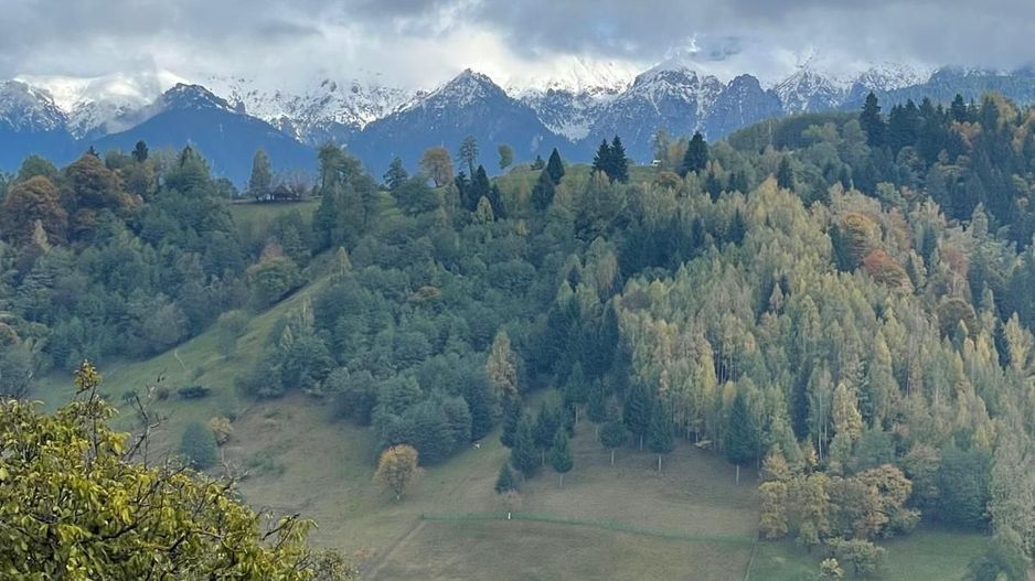 Teren extravilan cu priveliste catre Bucegi – Moieciu de Jos 4.700 mp - Poză 11