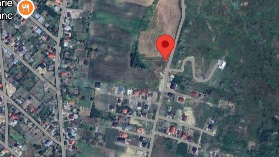 Teren intravilan și extravilan, sat Dorobanți, comuna Aroneanu – 13.126 mp - Poză 2