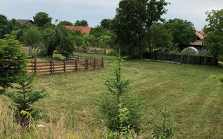 Teren intravilan | 1829mp | Cârțișoara - Poză 7