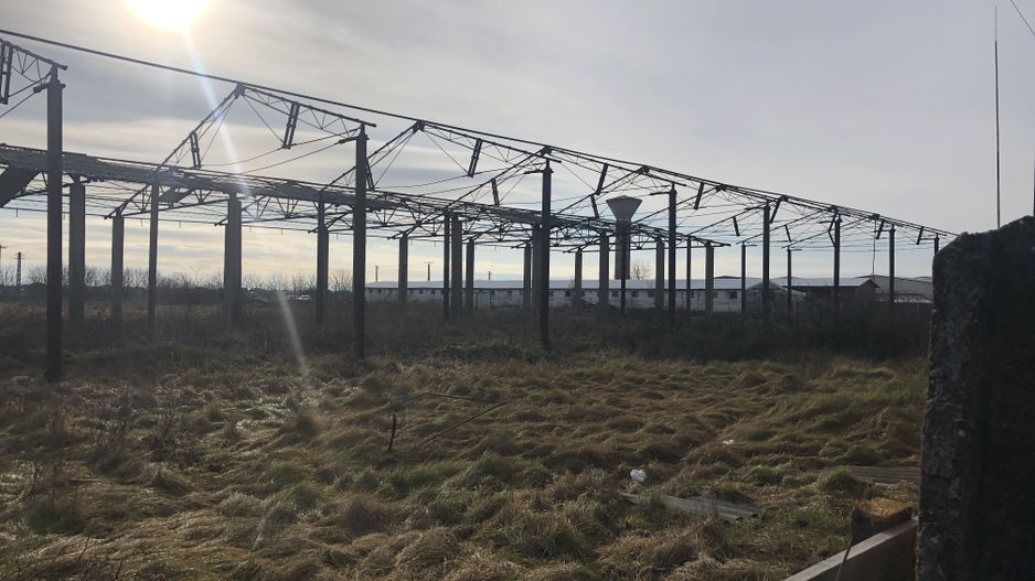 TEREN pt servici-10000 mp SAG-PARTA - Poză 3