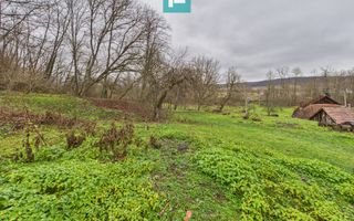 Casă cu teren de 24.679,73 mp, în Hălmagiu, Arad - Poză 16