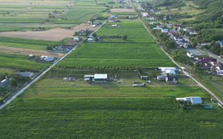 Teren intravilan de vânzare 4.300mp Buhuși - Poză 11