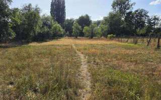 Casa cu 4 camere, 2024 mp teren, la asfalt, cu utilitati, Vintu de Jos - Poză 4