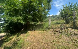 Teren Darmanesti | 41 Ari | 26.500EURO - Poză 2