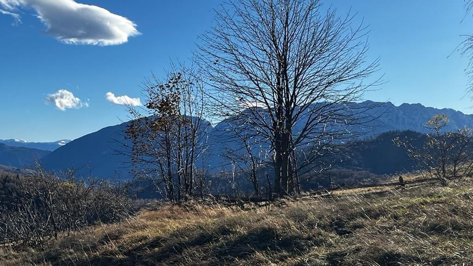 Teren extravilan 2ha, priveliste panoramica spre munti /Poiana Marului - Poză 6