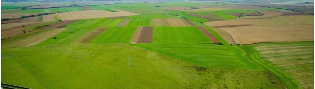 Teren agricol 5ha Giarmata langa Antena Radar - Poză 2