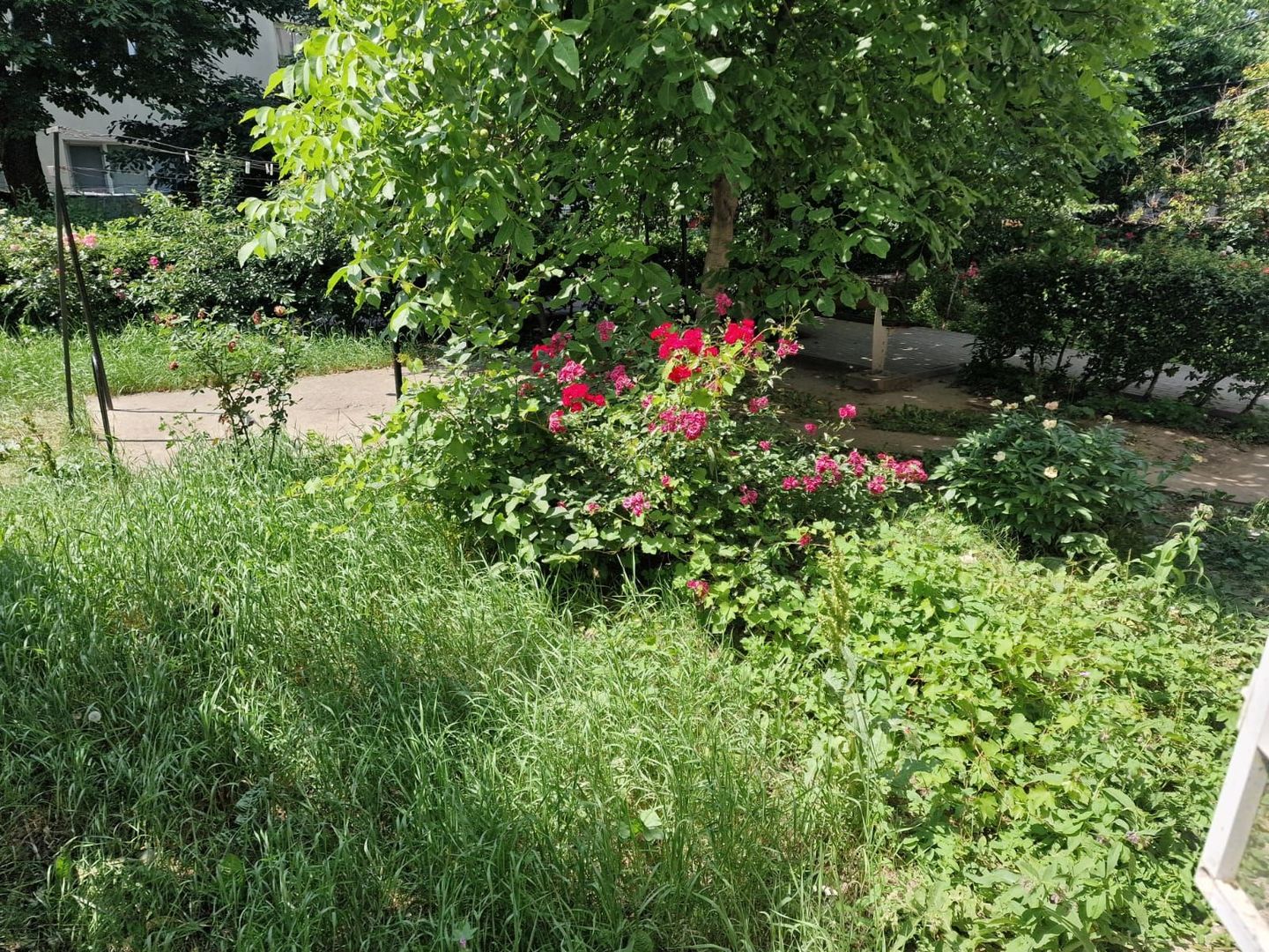 țApartament cu 2 camere de vânzare în zona Mioritei - Poză 15