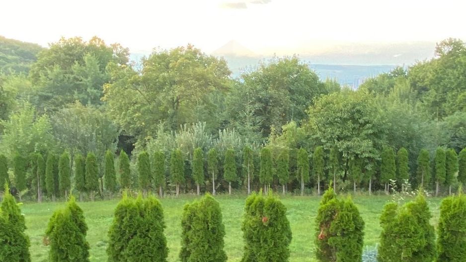 Vanzare teren 3000 mp, cabana, zona D D Rosca, Faget - Poză 4