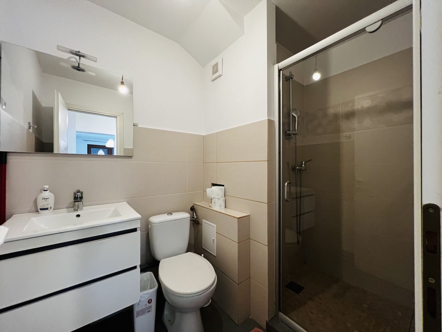 Apartament 2 camere complet mobilat langa Iulius Mall - Poză 8