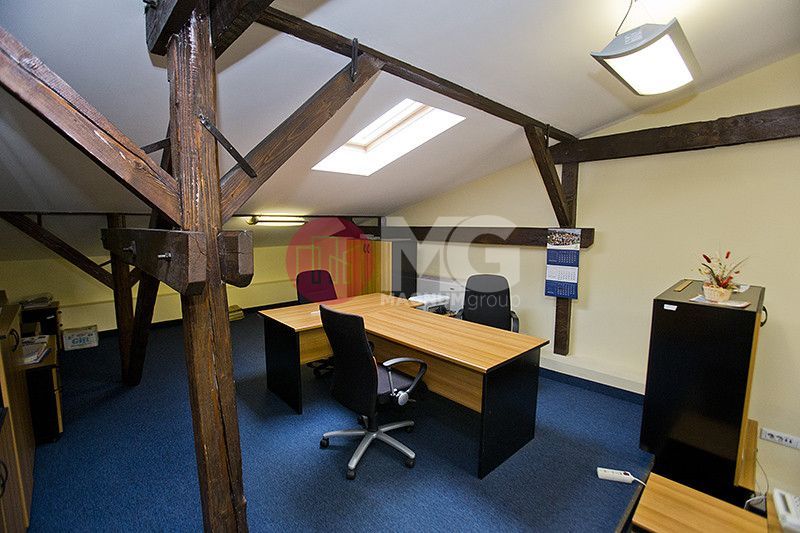 Vila exclusivista de inchiriat- pretabila Ambasada sau sediu de firma  - Poză 22