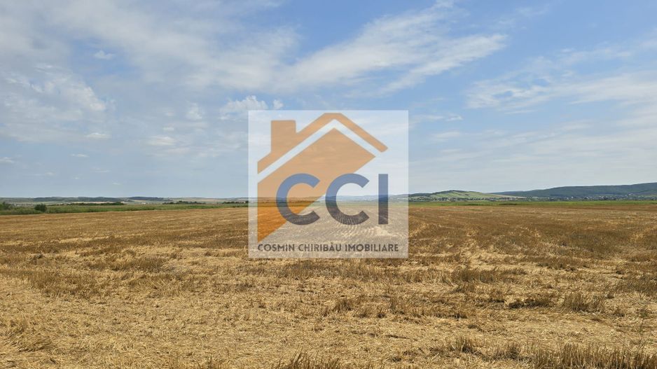 Teren intravilan– 50.000 mp, Bacău, Șoseaua Hol - Poză 1