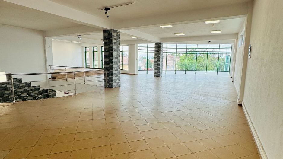 Trafic Micalaca de închiriat spațiu comercial P+E cu Depos. + Parcare - Poză 8