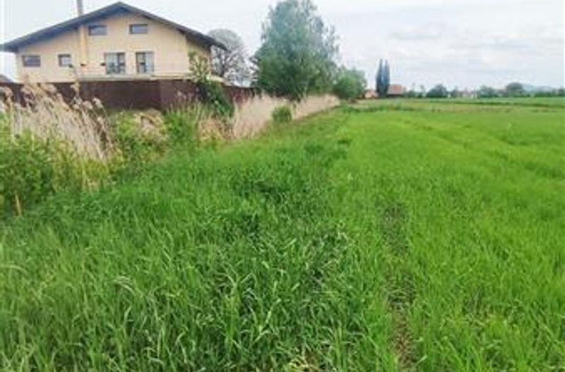 teren intravilan Stupini-Albinelor - Poză 3