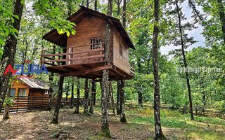 Casă de vacanță în pădure, 10 km de Pitești - Babana - Poză 6