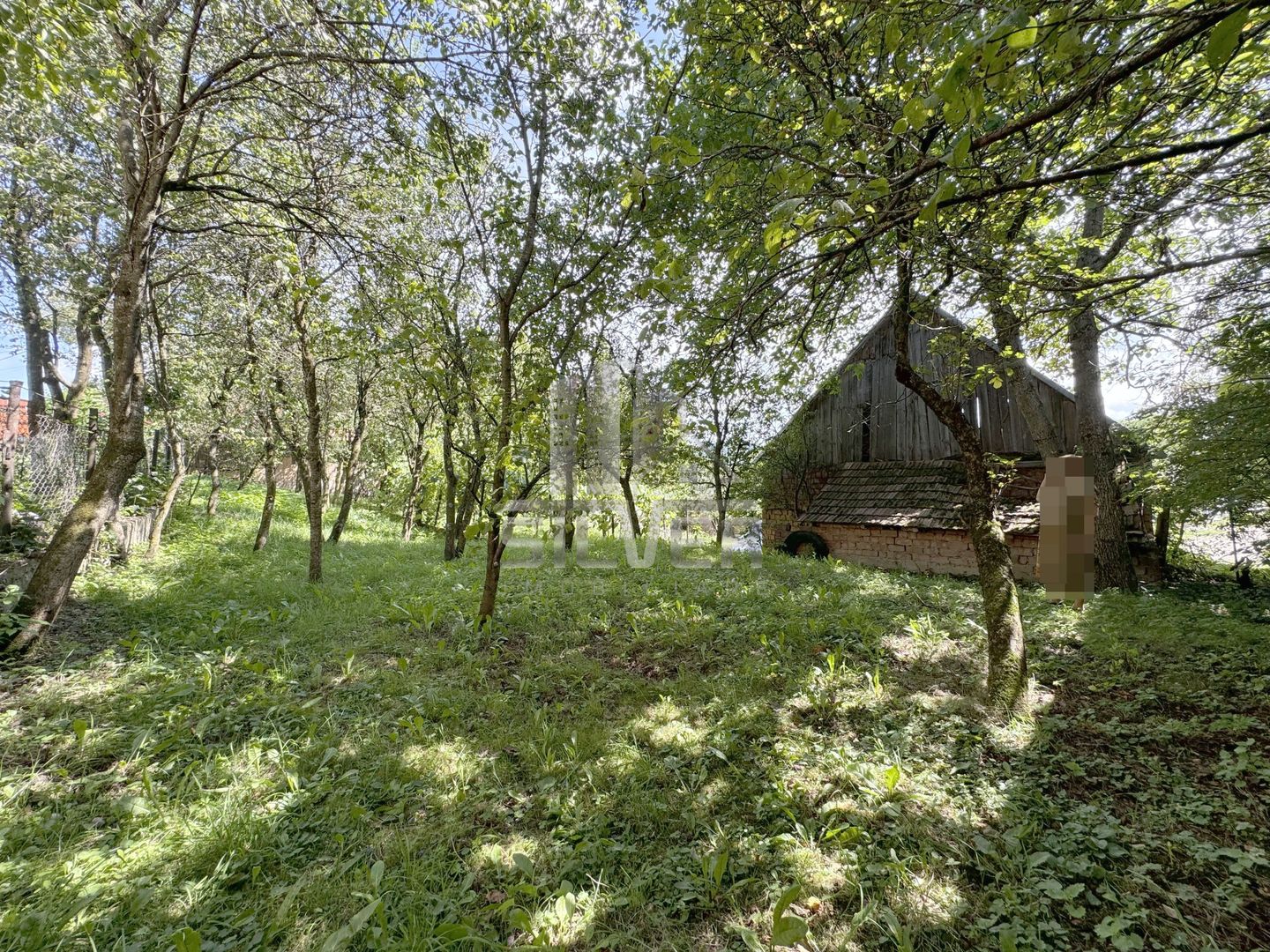 Casa individuala in Com. Capusu Mare/Sat Dumbrava. - Poză 7