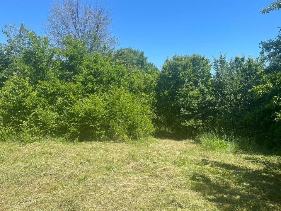 De Vanzare Gospodarie Cerbu - Poză 4