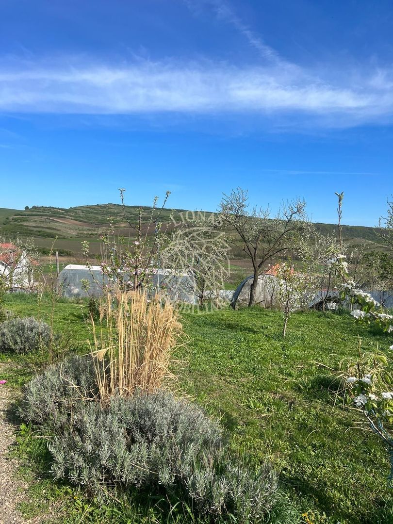 Casă ecologică 113 mp utili cu utilitati  + Teren 3100 mp, Balda, județul Mures - Poză 17