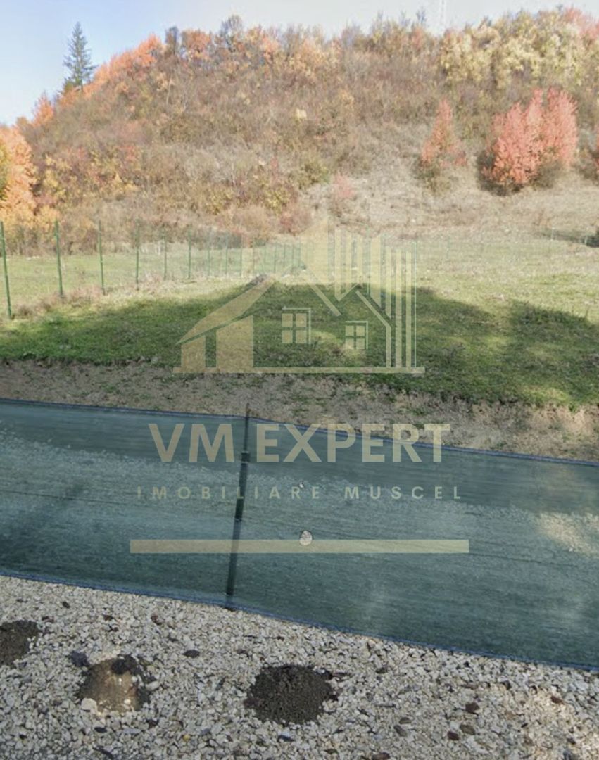 TEREN INTRAVILAN 832 MP VALEA ROMANEȘTILOR CAMPULUNG ARGEȘ - Poză 2