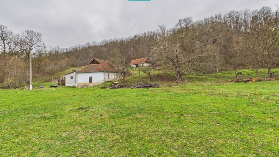 Casă cu teren de 24.679,73 mp, în Hălmagiu, Arad - Poză 8