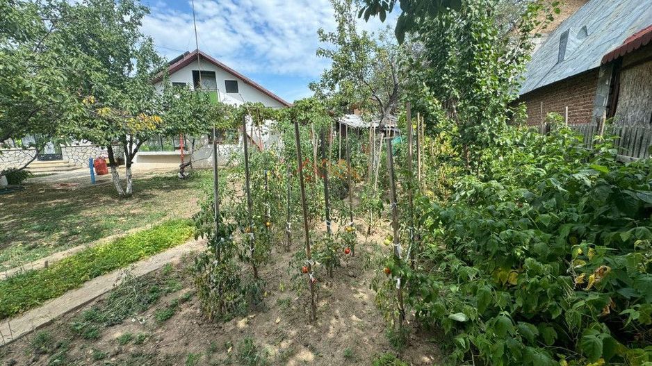 Casa 4 camere, 536 mp teren, toate utilitatile, Urleta, Prahova - Poză 9